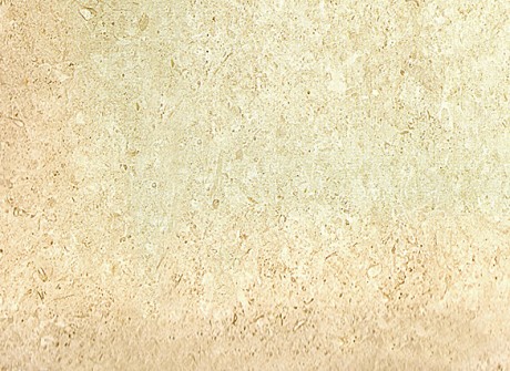 Limestone Terra Antiga